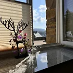 Erzgebirgsnest Lejlighed