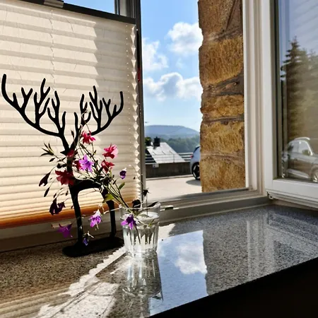 Apartment Erzgebirgsnest