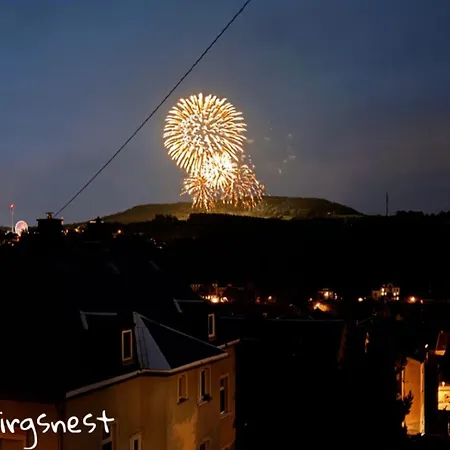 Erzgebirgsnest Lejlighed *