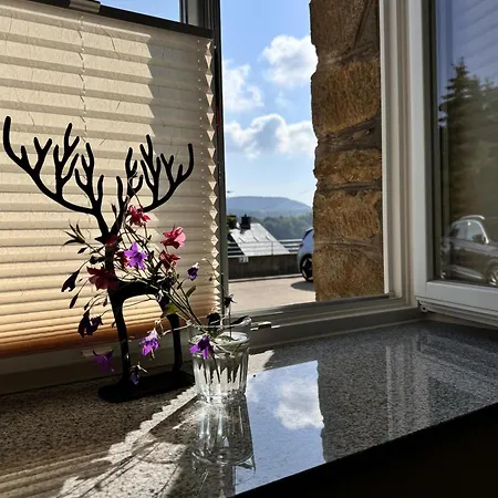 Erzgebirgsnest Apartment